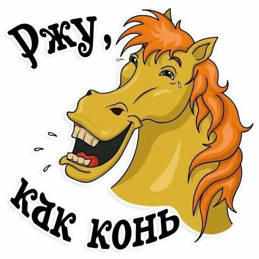 kon_sme.jpg