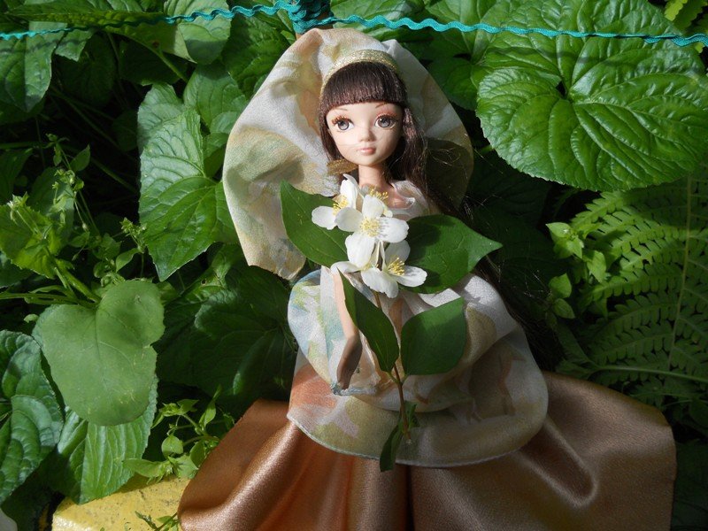 DSCN1081.jpg