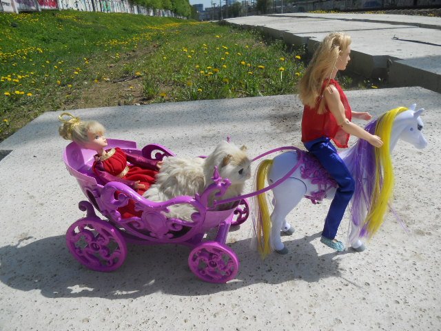 DSCN5294.JPG