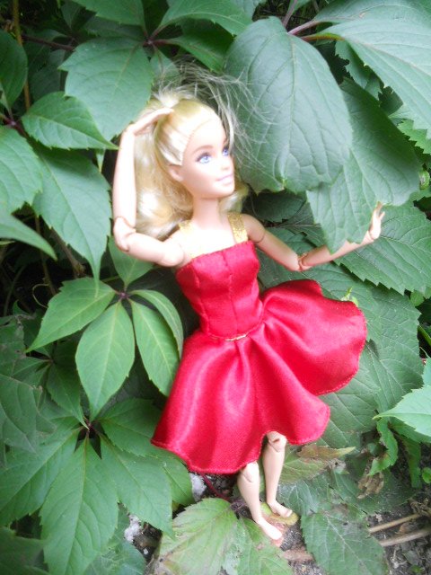 DSCN5995.JPG