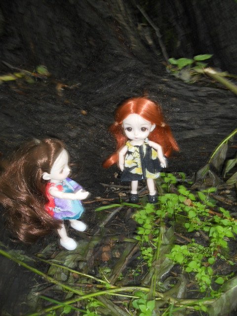DSCN7522.JPG